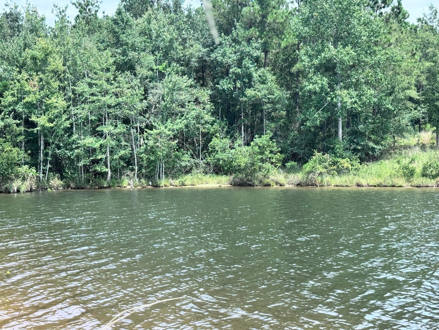 190 Ella Point, Lumberton, MS 39455 - photo 1