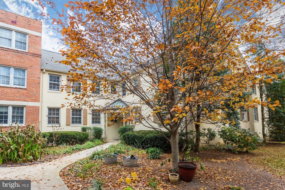 2217 Washington Ave unit 101, Silver Spring, MD 20910 - photo 1