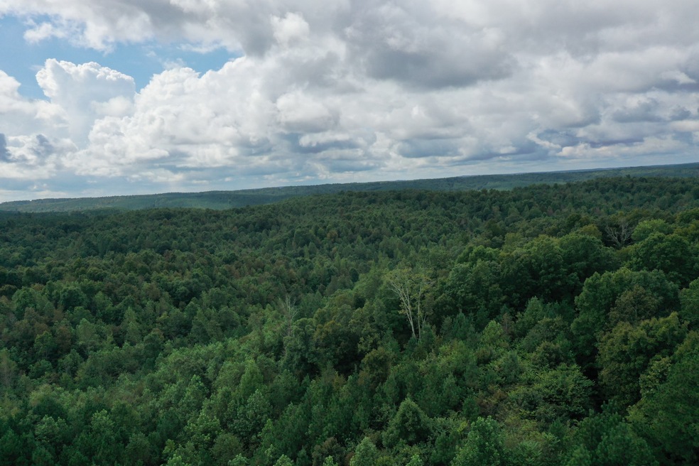 0 Old Hwy 20, Linden, TN 37096 - photo 1