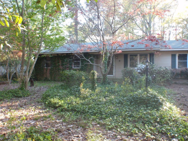 Main View