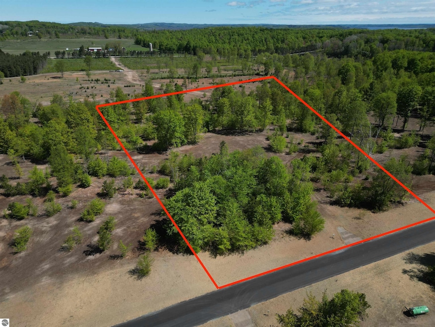 1087 E Solaris Way, Maple City, MI 49664 - photo 1