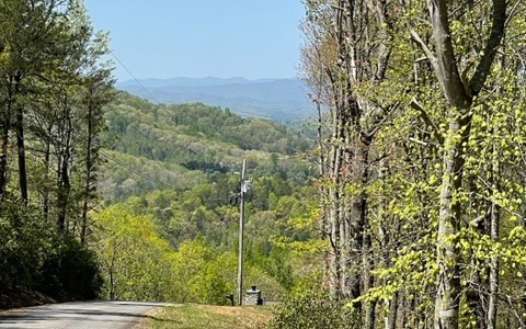 Main View
