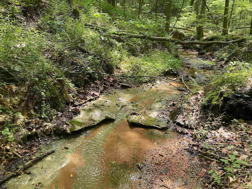 1 Montgomery Ln, Savannah, TN 38372 - photo 1