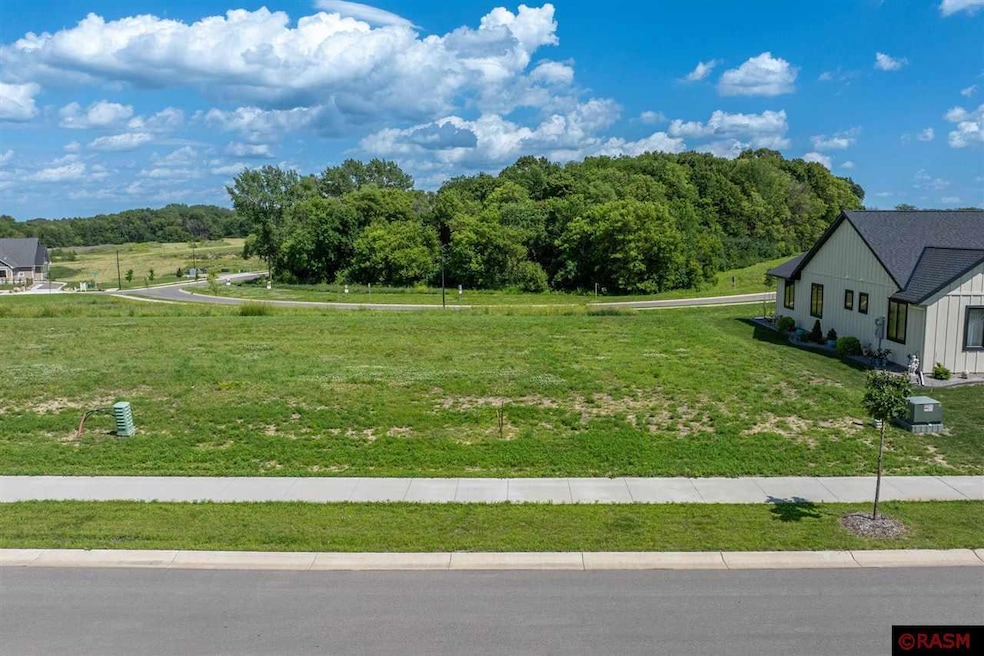 1031 Saba Blvd, Mankato, MN 56001 - photo 1