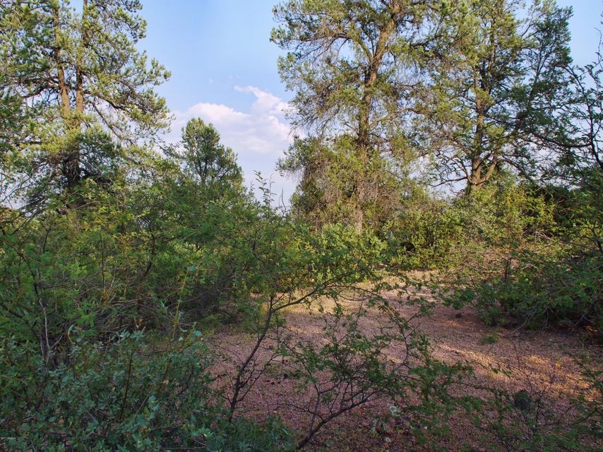 910 S Ridgeway St unit 35, Payson, AZ 85541 - photo 1