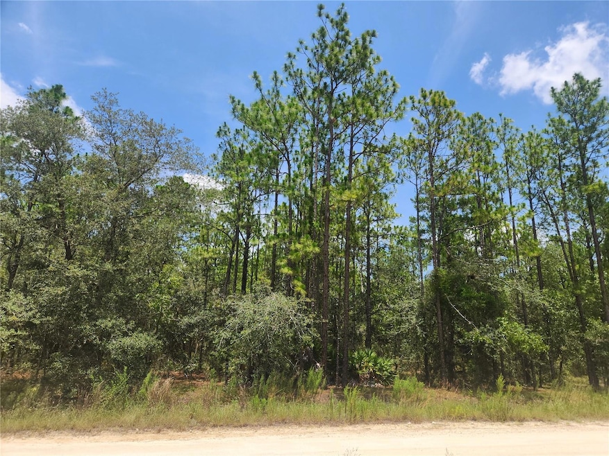 Large Building Lot