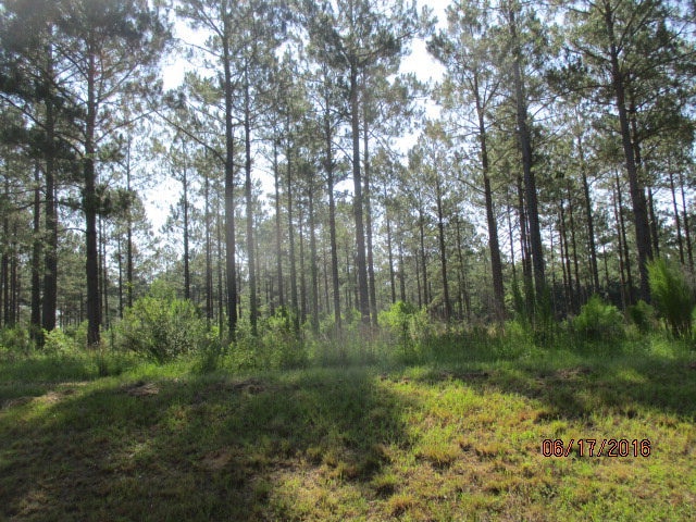 2513 Georgia 33, Sylvester, GA 31791 - photo 1