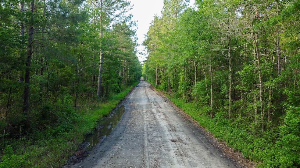 Sparks Lane SC Land for Sale-8