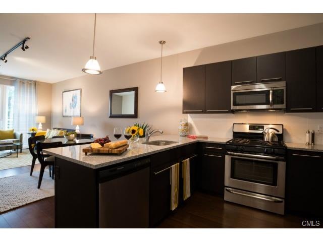 163 Franklin St unit 314, Stamford, CT 06901 - photo 1