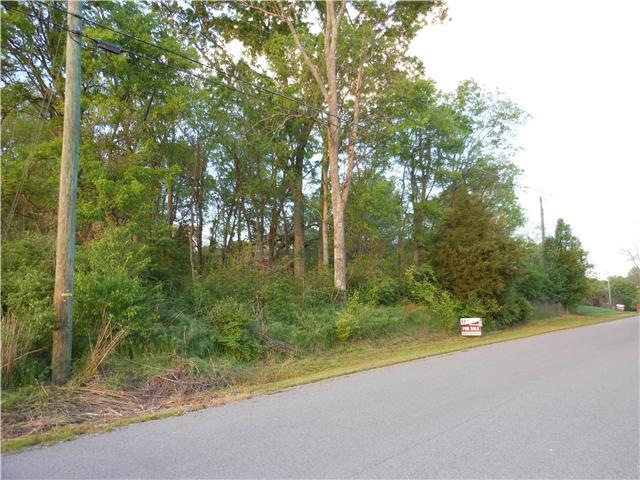This wonderful building lot in Long Hollow Point goes from this telephone pole on the left to the other pole on the right.