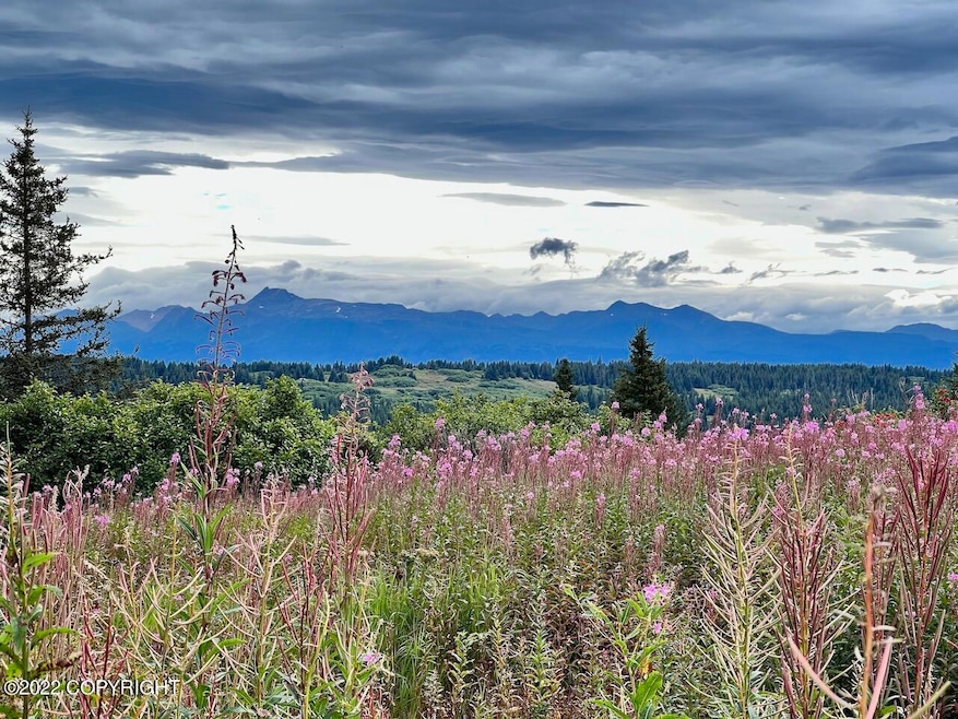 View of mountains across the bay