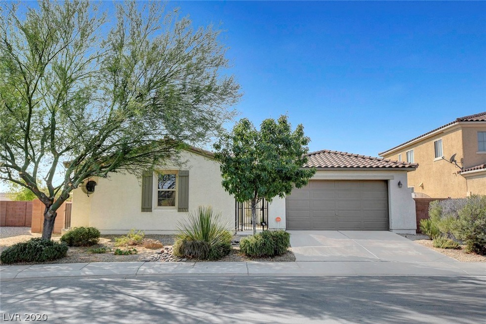 Aliante Master Planned Community Single Story Home