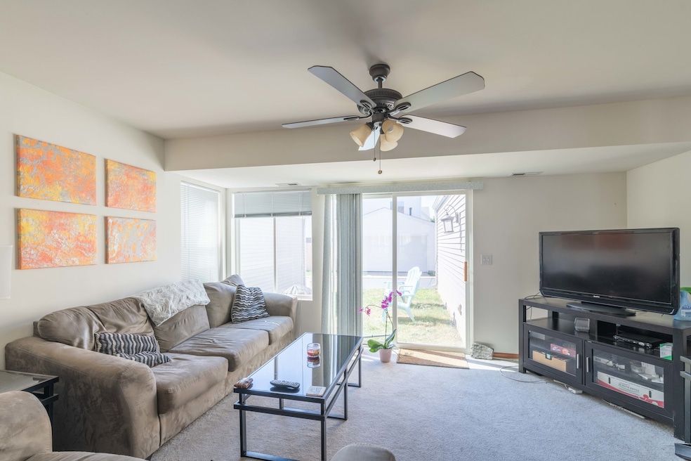 229 W Washington St unit 3270, Oswego, IL 60543 - photo 1