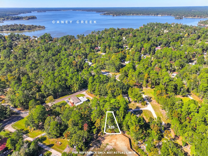 0 Harbor Point Section B, Trinity, TX 75862 - photo 1