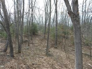BEAUTIFUL PRIVATE 11.6 ACRE TREED LOT WITH ITS OWN