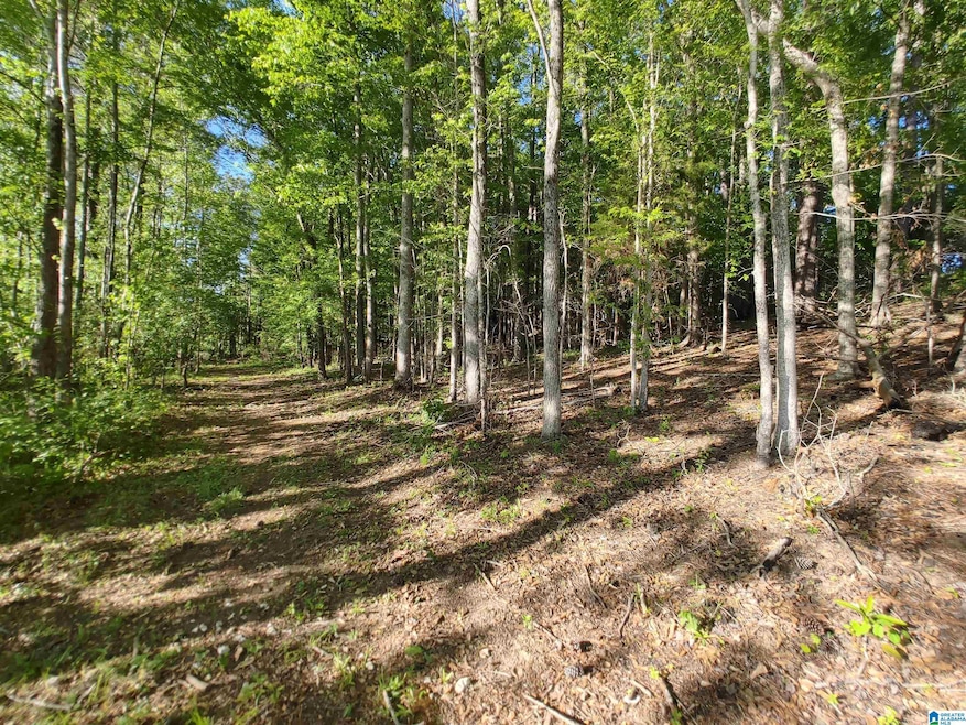 00 Cove Rd, Fayetteville, AL 35151 - photo 1