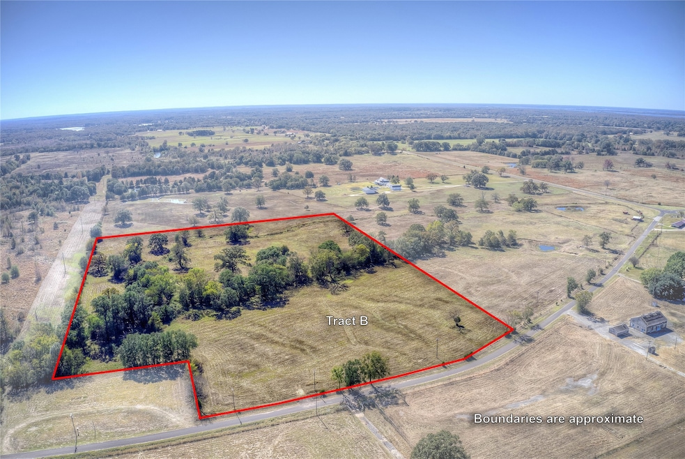 TBD Tract B County Road 1468, Quitman, TX 75783 - photo 1