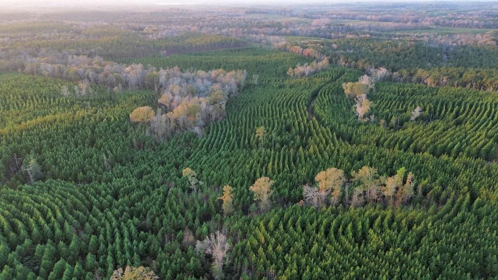 104 Gammage Rd, Pittsview, AL 36871 - photo 1