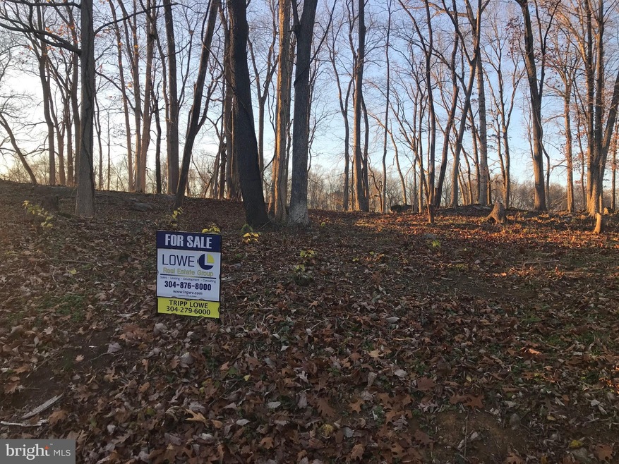 10 Hackberry Cir, Shepherdstown, WV 25443 - photo 1