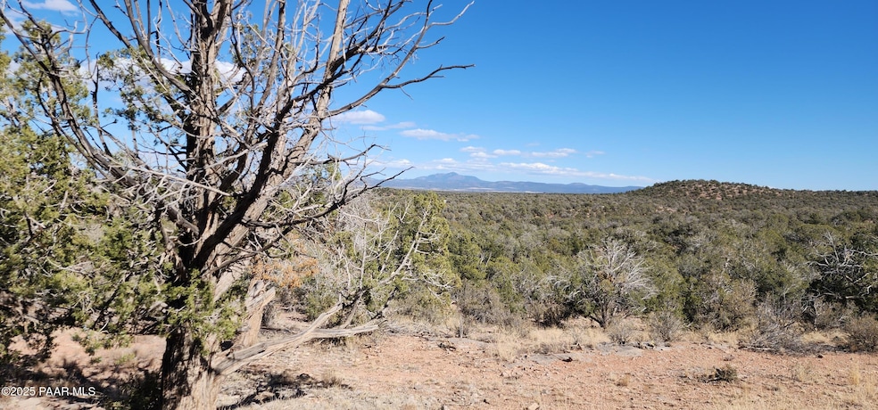 Lot 50 Scorpion, Ash Fork, AZ 86320 - photo 1