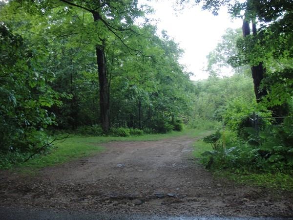 0 Casey Rd, Charlton, MA 01507 - photo 1