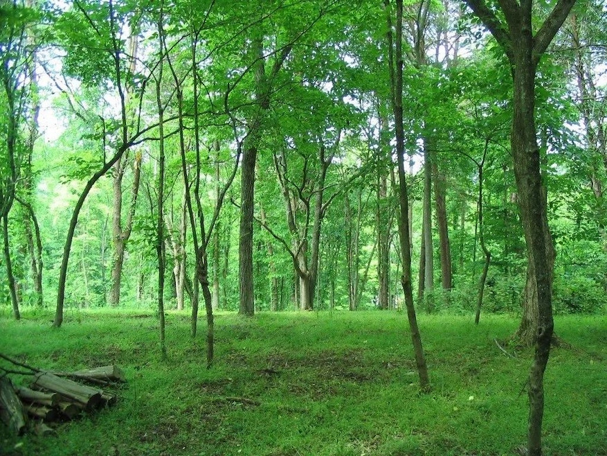 1919 Chelaque Way E, Mooresburg, TN 37811 - photo 1