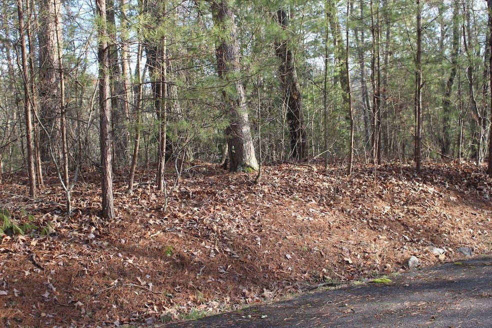 LT 8 Oak Creek Dr, Ellijay, GA 30536 - photo 1