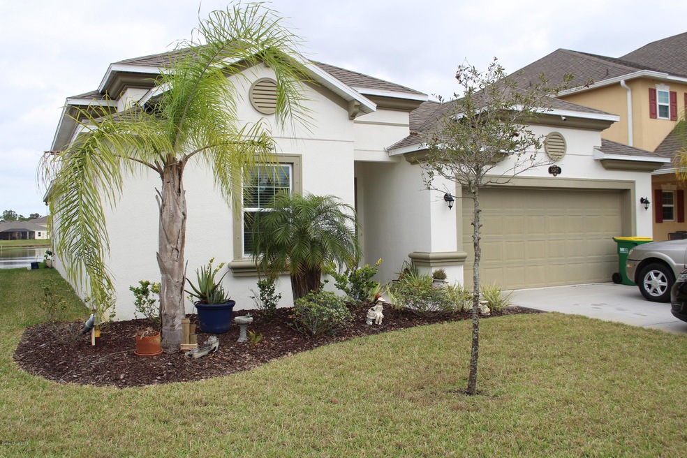 Home Front View