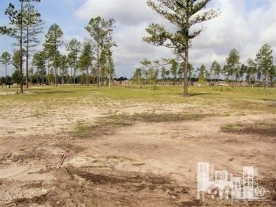 1253 Lillibridge Dr, Leland, NC 28451 - photo 1