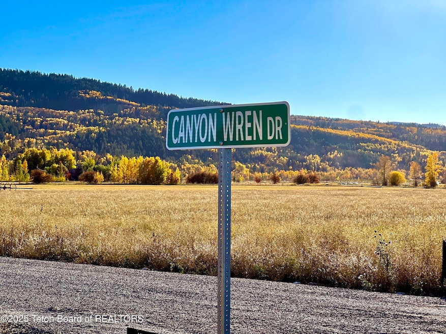 Canyon Wren fall photo2