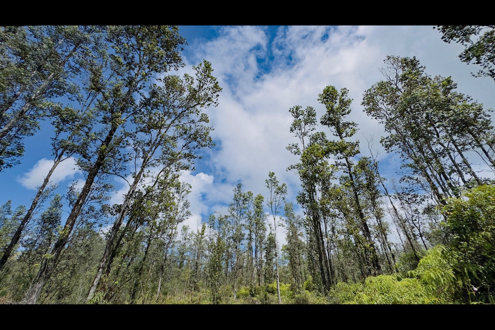 Lot 5096 on paved Moho Road (Road 8) in Hawaiian Acres.