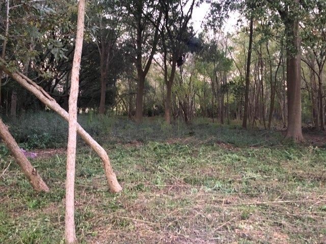 0 Tower St unit 29675708, Houston, TX 77088 - photo 1