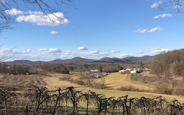 8726 52 E, Ellijay, GA 30536 - photo 1