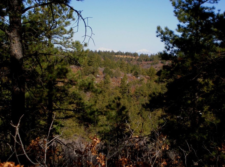36282 Lodgepole Trace unit Lot F14, Trinidad, CO 81082 - photo 1
