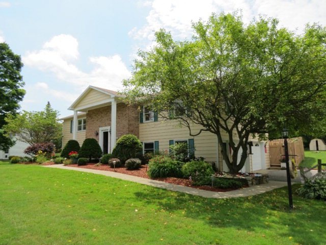 Main View