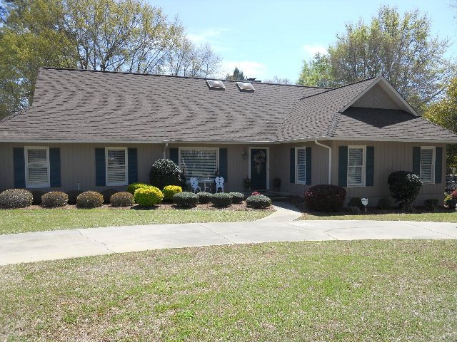 Main View