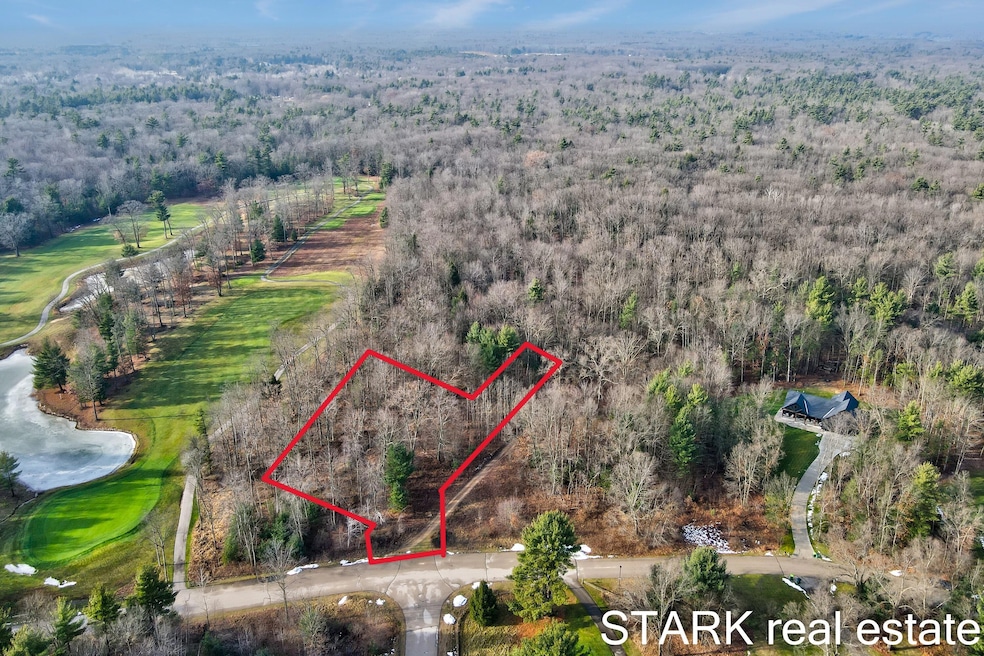 Lot 124 Austin Rd, Cedar Creek Township, MI 49457 - photo 1