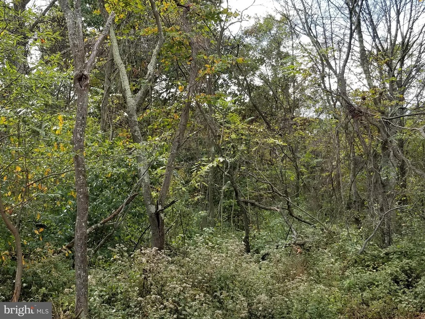 0 Lot 5 Garnett Ct unit 1003394251, Winchester, VA 22602 - photo 1