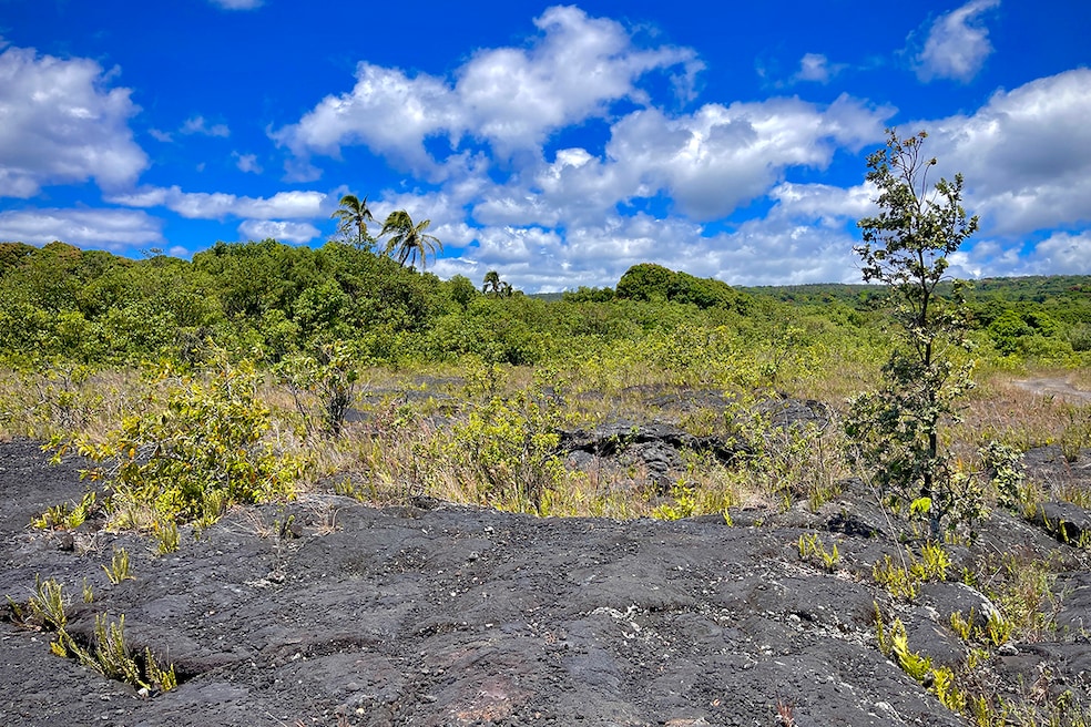 12-4786 Kaimu-Chain of Craters Rd, Pahoa, HI 96778 - photo 1