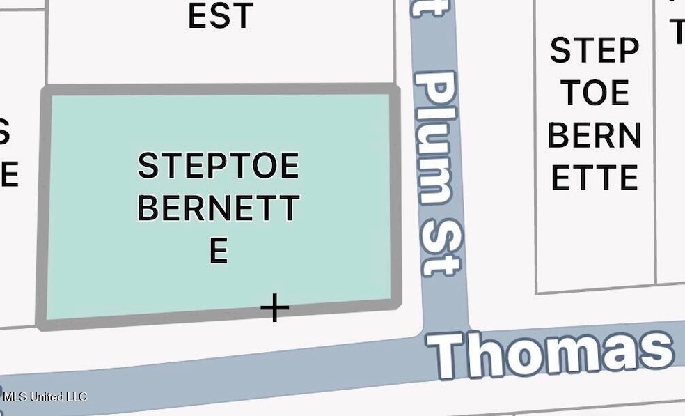 1306 Thomas St, Summit, MS 39666 - photo 1