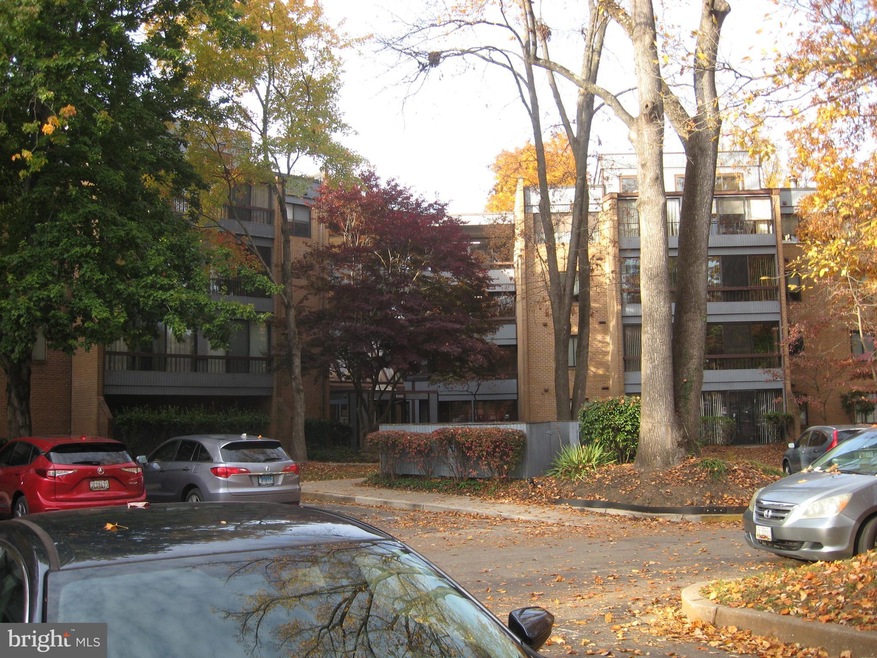 6350 Red Cedar Place unit 313, Baltimore, MD 21209 - photo 1