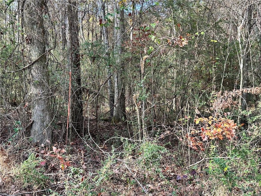 View of local wilderness