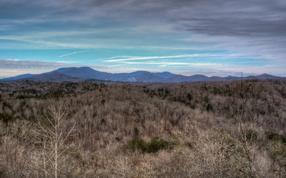 231 Kyle Rd, Blue Ridge, GA 30513 - photo 1