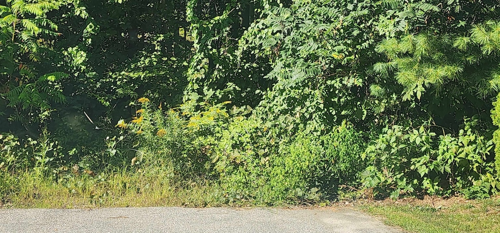 G28-4 Grammar St, Sanford, ME 04073 - photo 1