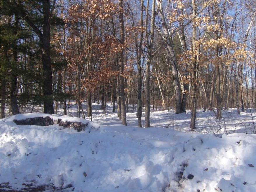 Lot 38 & 39 Thunderbird Dr, Jackson, WI 54830 - photo 1