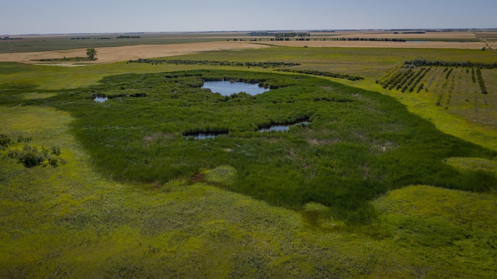 Water Hole