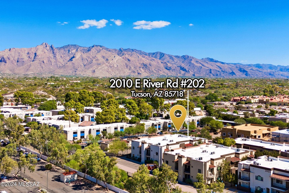 2010 E River Road 202