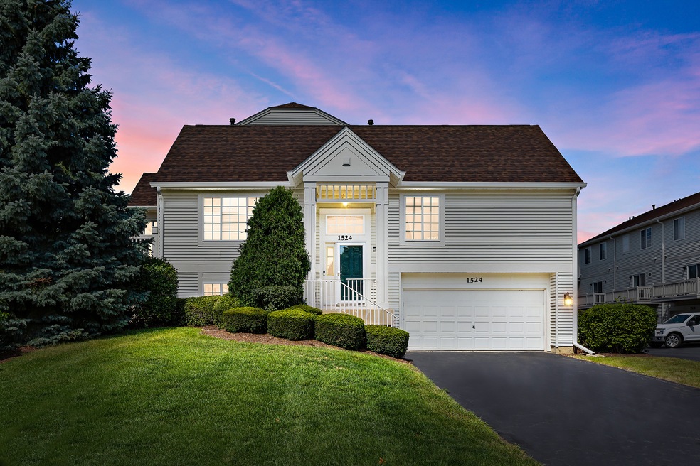 Sold $250,000 • Co-Listing Agent