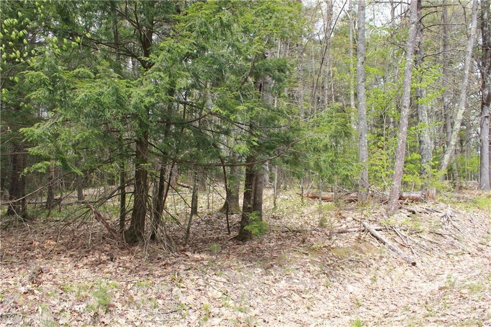 27 Osborne Rd, Gorham, ME 04038 - photo 1