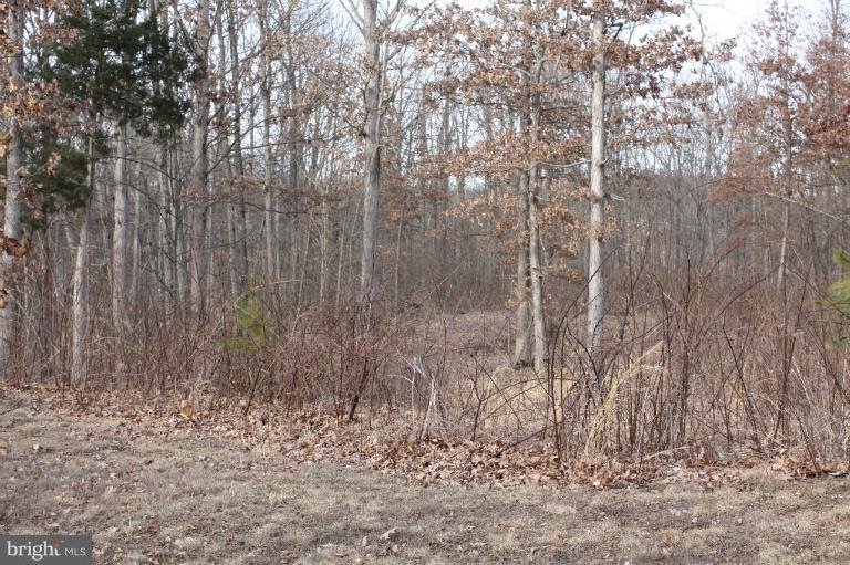 0 Springwood Lane Lot 6 unit 1003323154, Stephens City, VA 22655 - photo 1